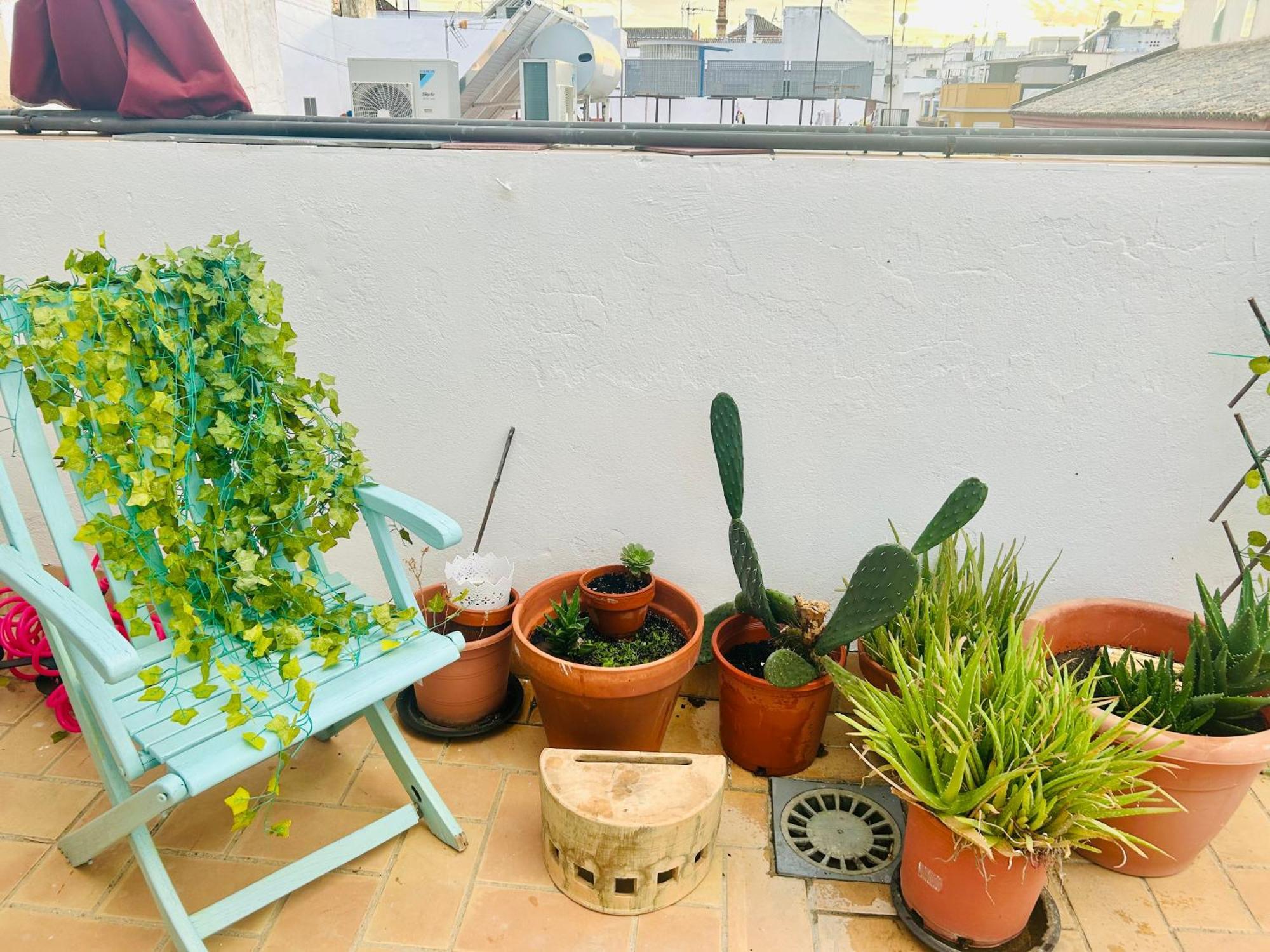 Ferienwohnung La Azotea Del Sol Sevilla Exterior foto